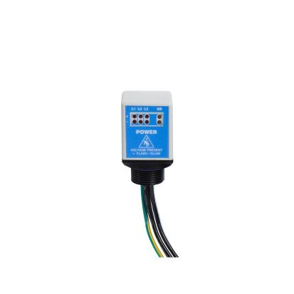GracePESDs R-3D2 Flashing Voltage Indicator, 20-600 VAC, 15-1000 VDC, LED Lamp, Panel Mounting